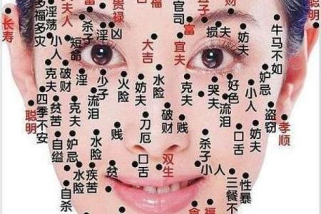 脸上黑痣算命图解吉凶