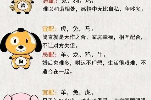 合婚八字中最多是几合