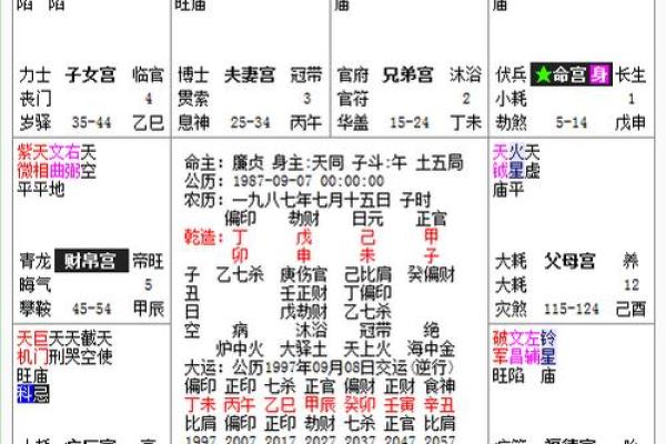 紫微斗数中，破军星的含义和性质全解读