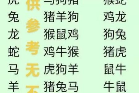 八字算命生肖六合是什么意思