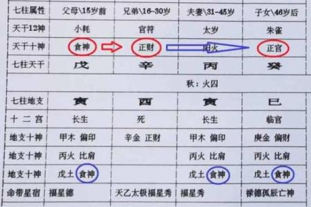 八字十神的喜忌查询