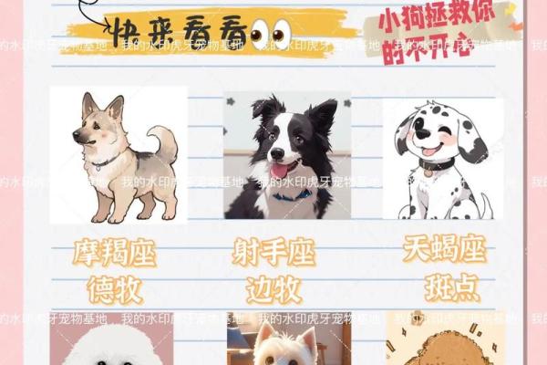 怎么知道狗狗是什么星座的