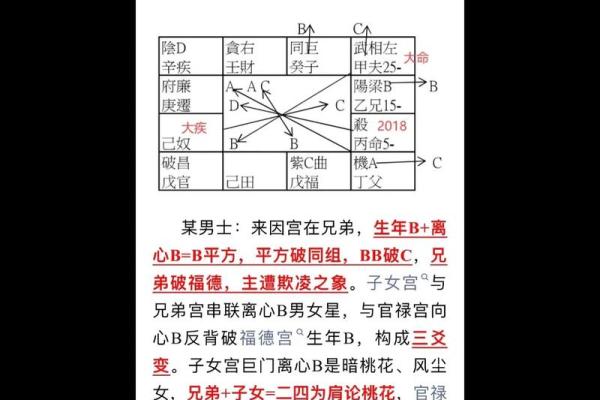 倪海厦说过紫薇斗数的名言