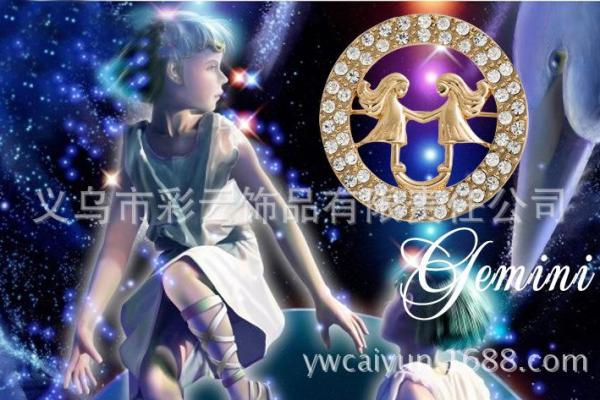 十二星座最适合戴什么胸针 十二星座最适合戴什么胸针