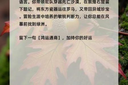 测试前世的死因  测自己的前世