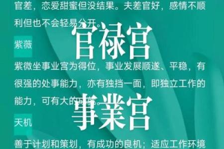 八字官禄宫怎么看婚姻