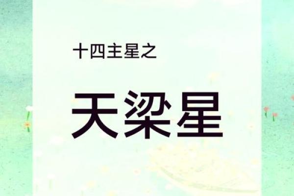 紫薇斗数之星 紫薇斗数之星