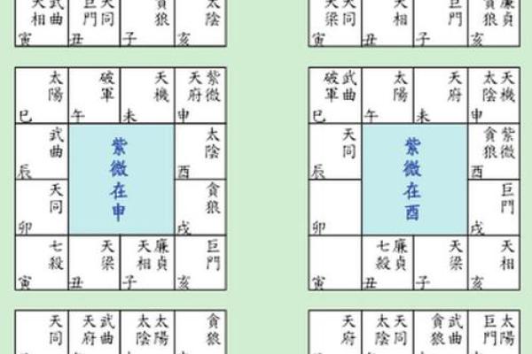 紫薇斗数解析排盘 紫薇斗数解析排盘