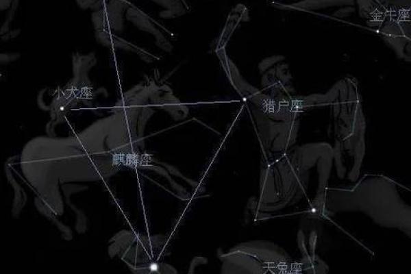 冬天能看到的星座