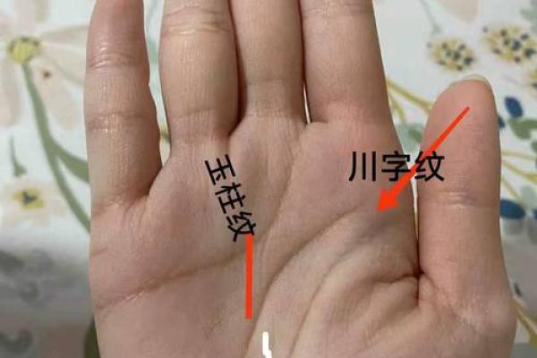 手相风水有川字纹的女人好不好