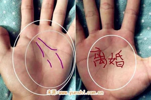 女人手相算命图解 女人手相算命图解