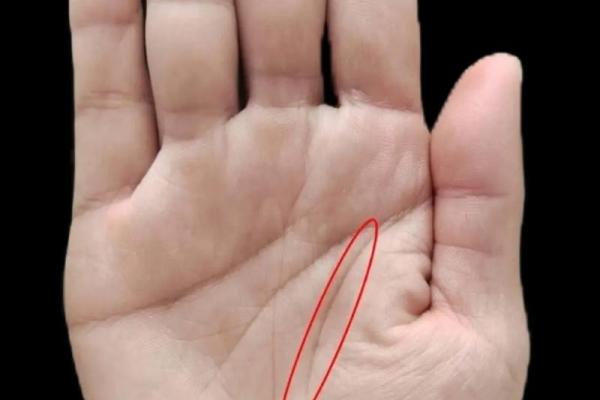 女人手相算命图解 女人手相算命图解