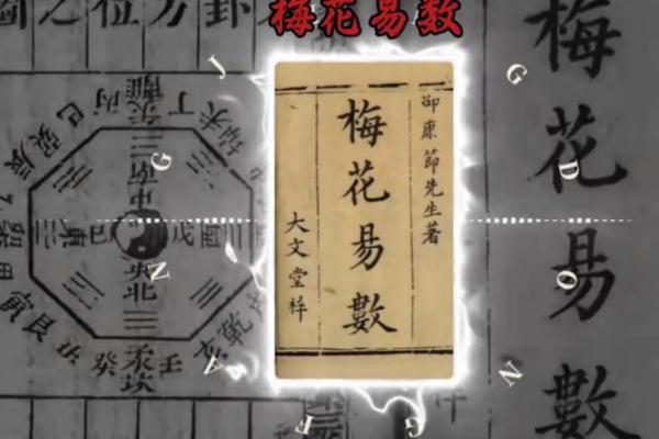 梅花易数和八字有啥区别