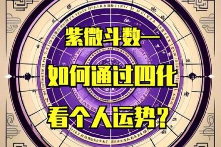 紫薇斗数大限工作