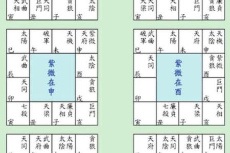 紫薇斗数解析排盘