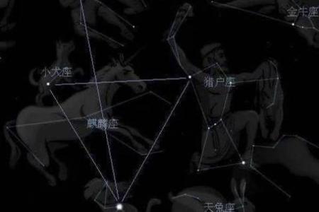 冬天能看到的星座