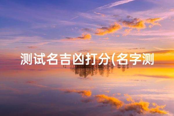 取店面名字测试打分