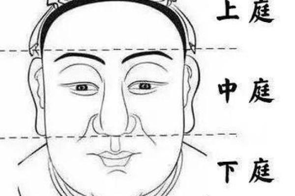 面相算命入门什么是三停 面相基础知识 面相算命入门什么是三停 面相基础知识