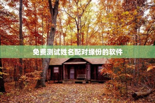 夫妻姓名配对测试L十L代表什么 夫妻姓名匹配度测试免费？