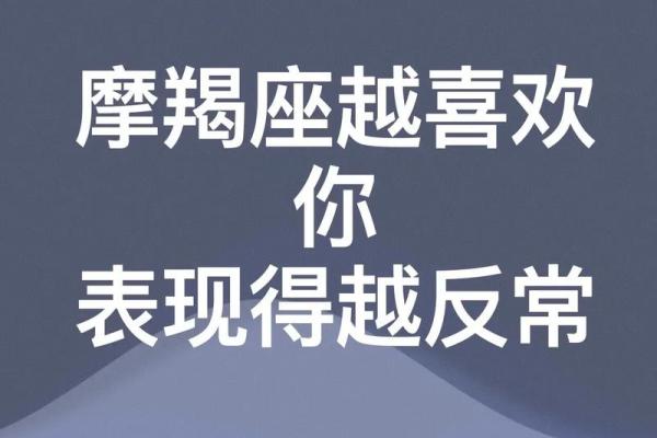 摩羯座适合什么星座男生在一起工作