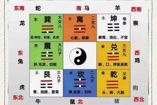 2015年有利于健康的风水布局