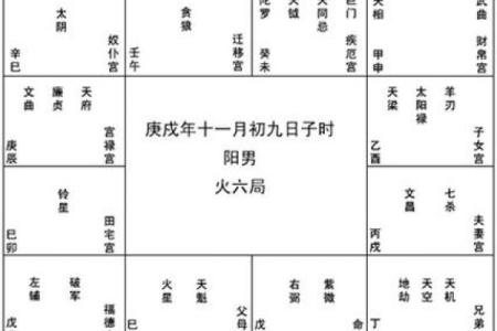 紫微斗数诸星落诸宫之：天府星兄弟宫详解