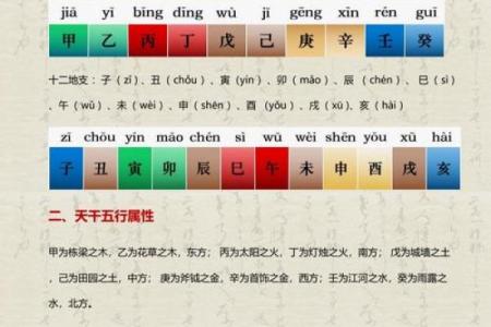 八字禄神看法，唐艺尹老师传统批算八字命理