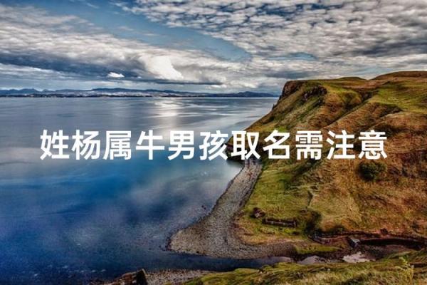 半夜出生的属牛男孩取名常用字有哪些姓名