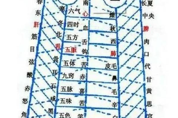 八字干支身体部位对照表 八字干支身体部位对照表