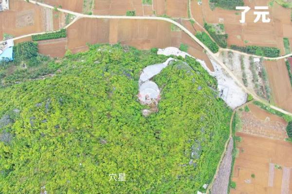 风水师:坟墓前最怕放什么东西 风水师:坟墓前最怕放什么东西