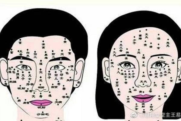 女人面相算命 女人面相算命