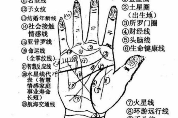手纹线图解大全男人手相 男人算命看左手还是右手 手纹线图解大全男人手相 男人算命看左手还是右手