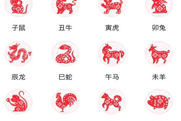 属龙和属鼠的八字合吗