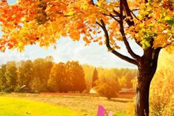 姓房的名人-姓名学-华易算命网姓名 姓房的名人-姓名学-华易算命网姓名