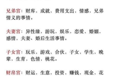 紫薇斗数看人生txt的简单介绍