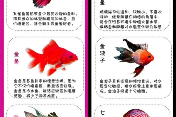 养鱼技术有决窍, 八字精华要记牢 养鱼技术有决窍, 八字精华要记牢