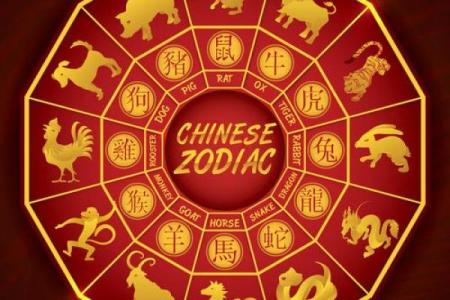 什么生肖带有紫薇星