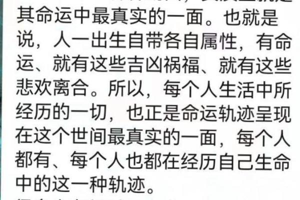 命运树算命 命运树算命