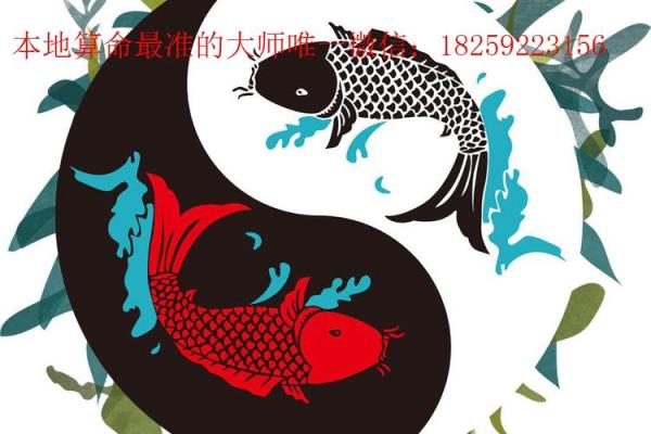 青岛算命价格表