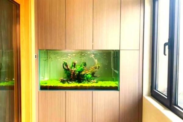 家里鱼缸风水 家里鱼缸风水