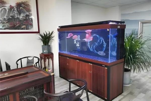 家里鱼缸风水 家里鱼缸风水