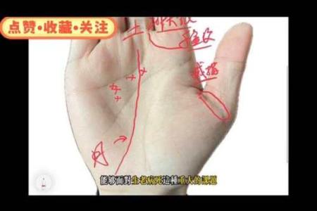 手相算命，从手相看你聪明度有多高？