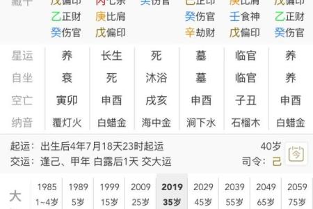 新派八字排盘软件下载