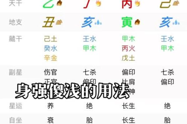 术士命八字 术士命八字