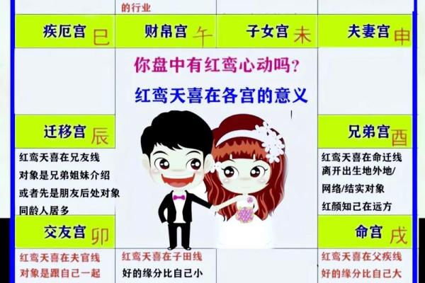 紫薇斗数入门术语