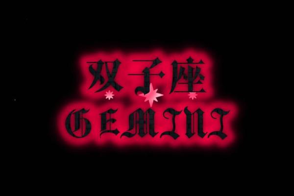 双子男适合找什么星座的