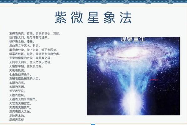 紫薇斗数象义 紫薇斗数象义