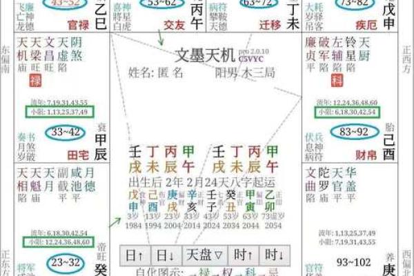 庄式紫薇斗数排盘 庄式紫薇斗数排盘