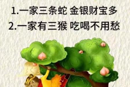 摆放吉神娃娃有什么禁忌风水须知