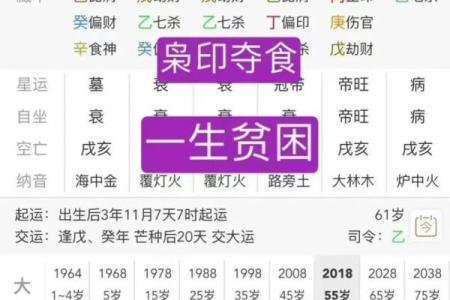 84年女命八字案例大全